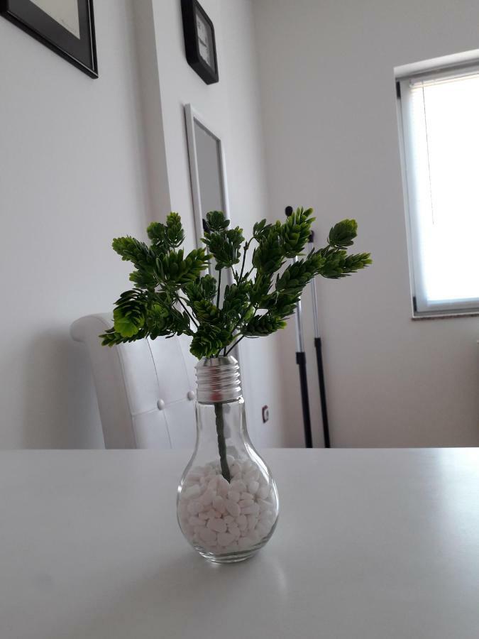 Apartman Dunja Ns 2 Novi Sad Buitenkant foto