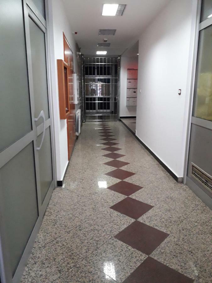 Apartman Dunja Ns 2 Novi Sad Buitenkant foto