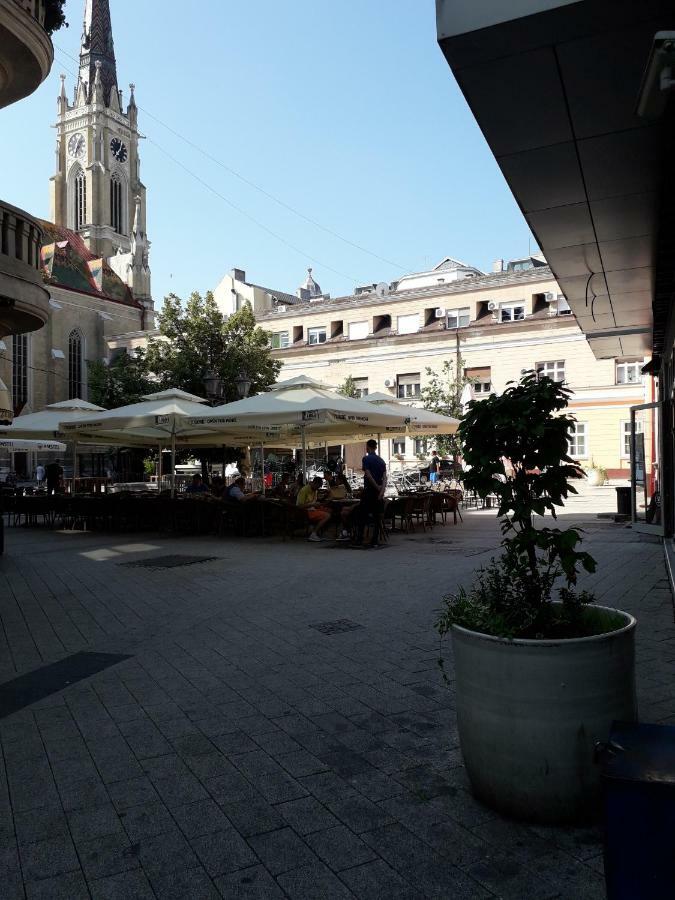 Apartman Dunja Ns 2 Novi Sad Buitenkant foto